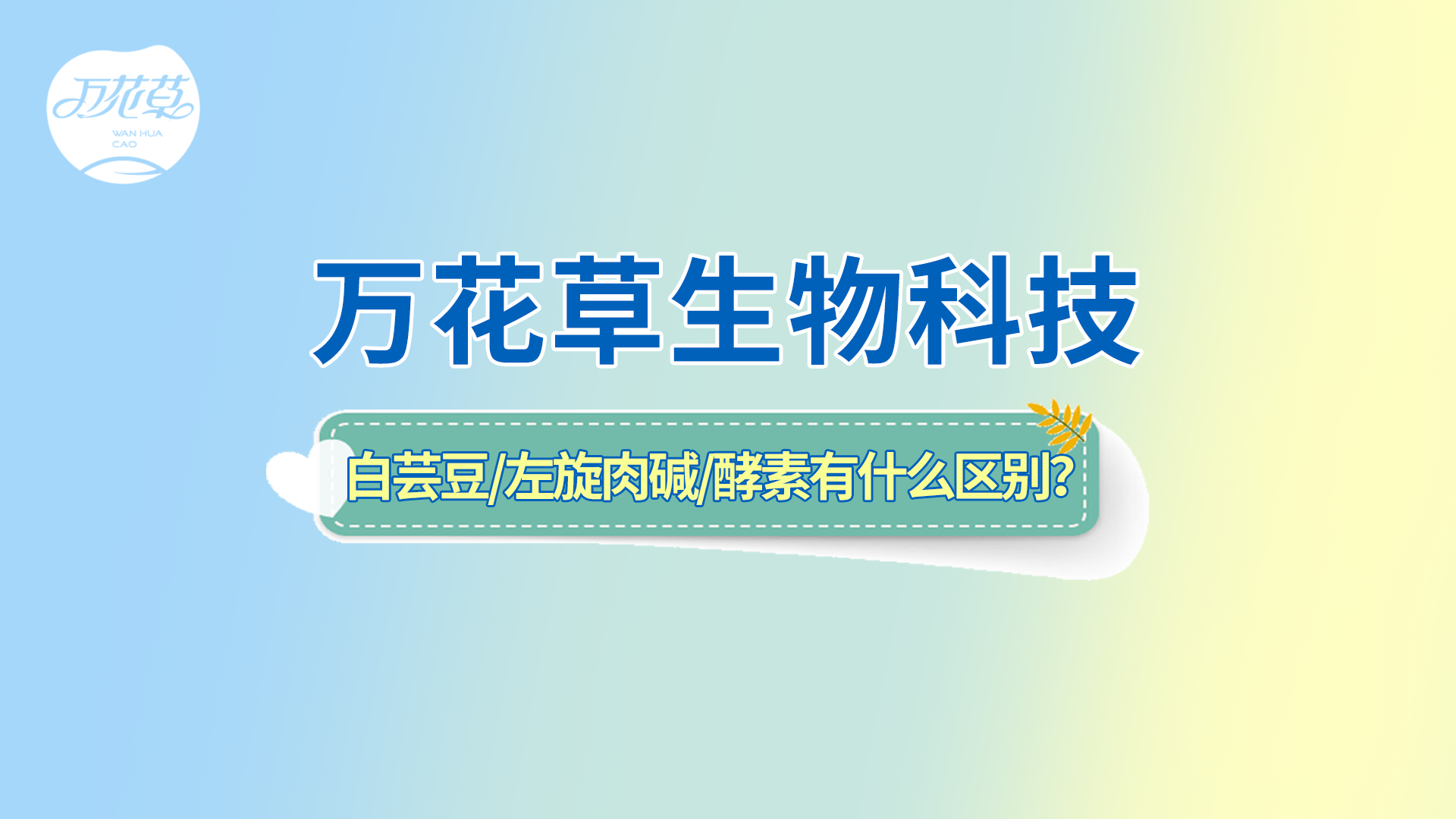 白蕓豆、左旋肉堿、嗨吃酵素有什么區(qū)別？